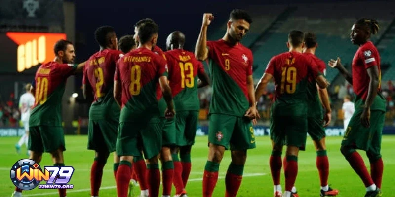 Giới thiệu về đội tuyển Portugal ngày đầu đến vinh quang